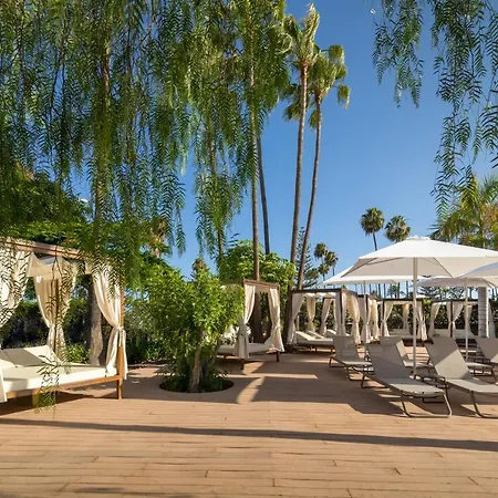 Barcelo Margaritas Royal Level Adults Only Hotel 4*